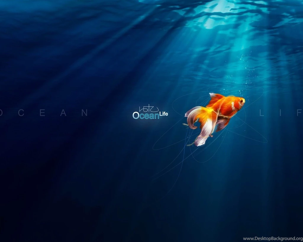 Ocean Life PS Creative Theme Design Pictures   1280x1024 Wallpapers ...
