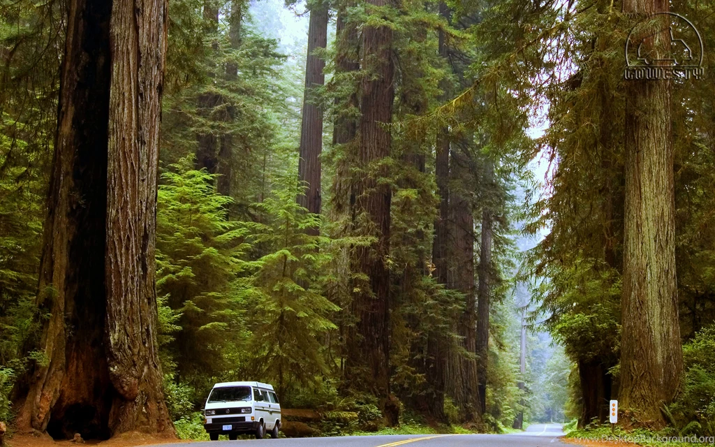 Redwoods Events For Red Wood