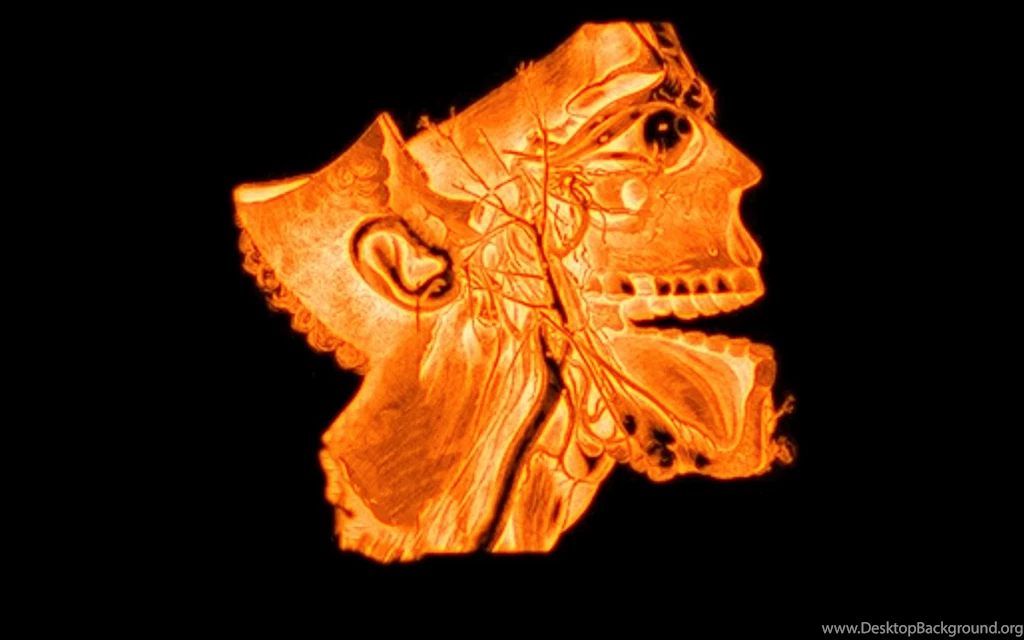 Automobile Art And Entertainment: 3D Fire Skull Wallpapers