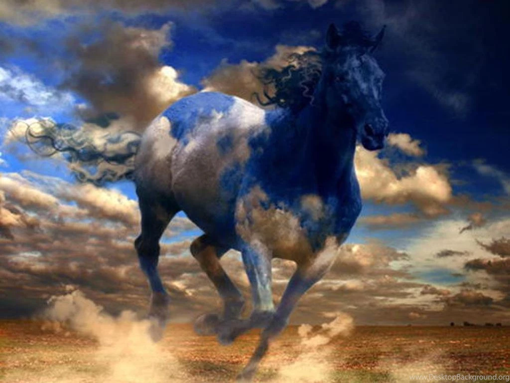 Best Horses Wallpapers   Entertainment Only