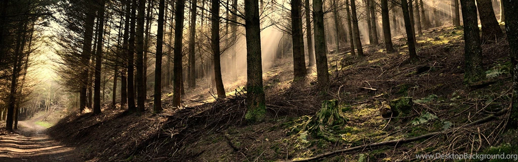 InterfaceLIFT: 3360x1050 Wallpapers Sorted By Date