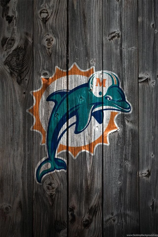 My Dolphins On Pinterest