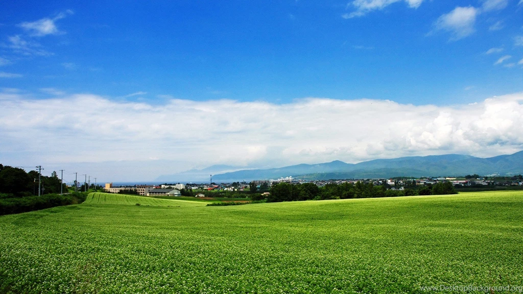 Japan Hokkaido Country Field : Open Field Under Sky1920*1080第38 ...