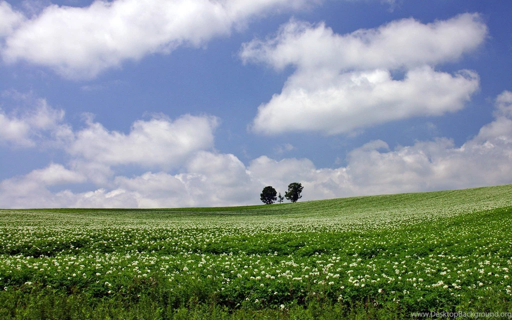 Japan Hokkaido Country Field : Open Field Under Sky 1680x1050 NO.2 ...