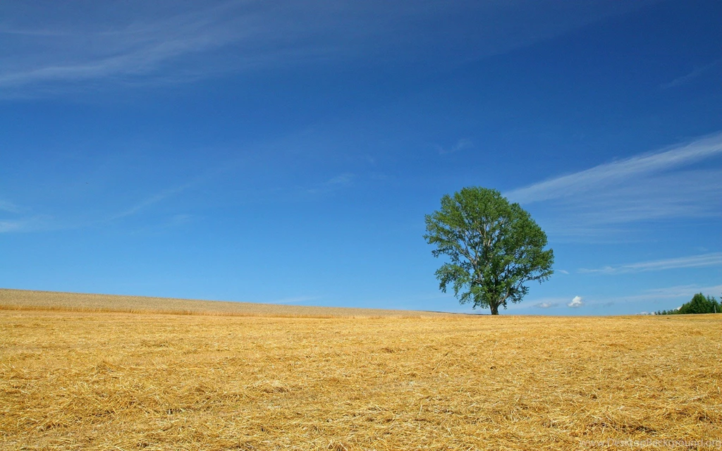 Japan Hokkaido Country Field : Open Field Under Sky 1920x1200 NO ...