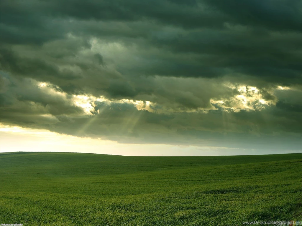Green Field, Cloudy Day Wallpapers