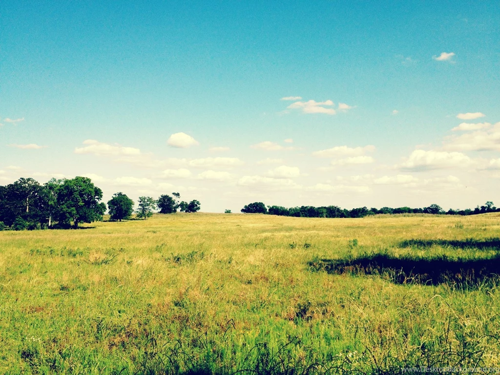 Open Field By Yamogogy On DeviantArt
