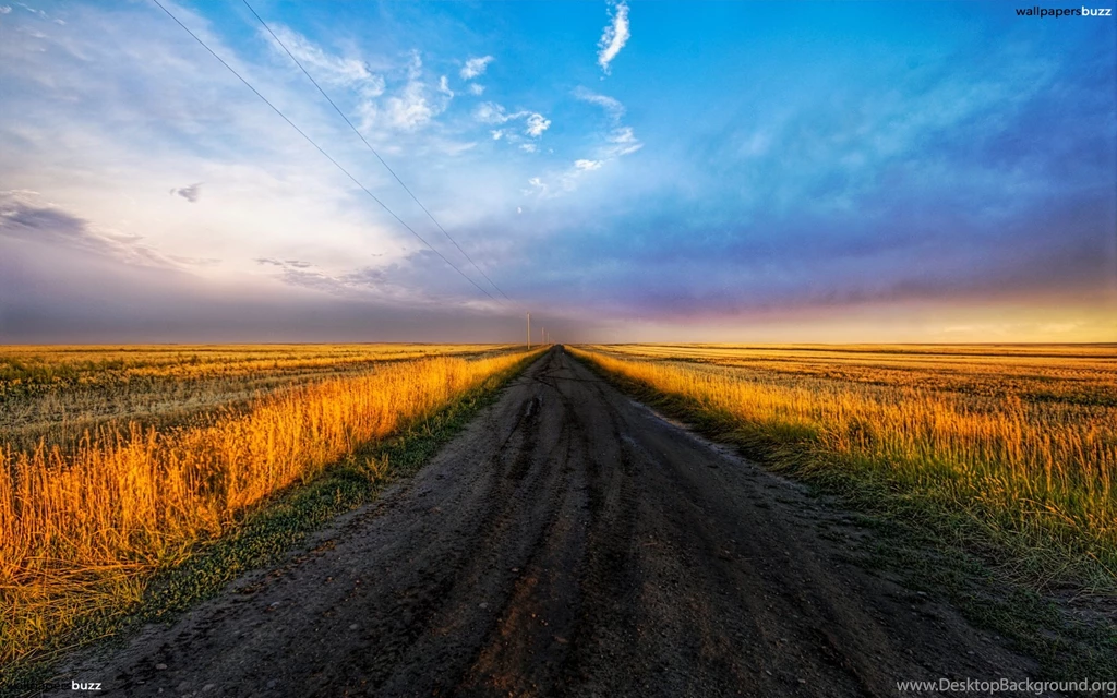Road In The Fields Wallpapers