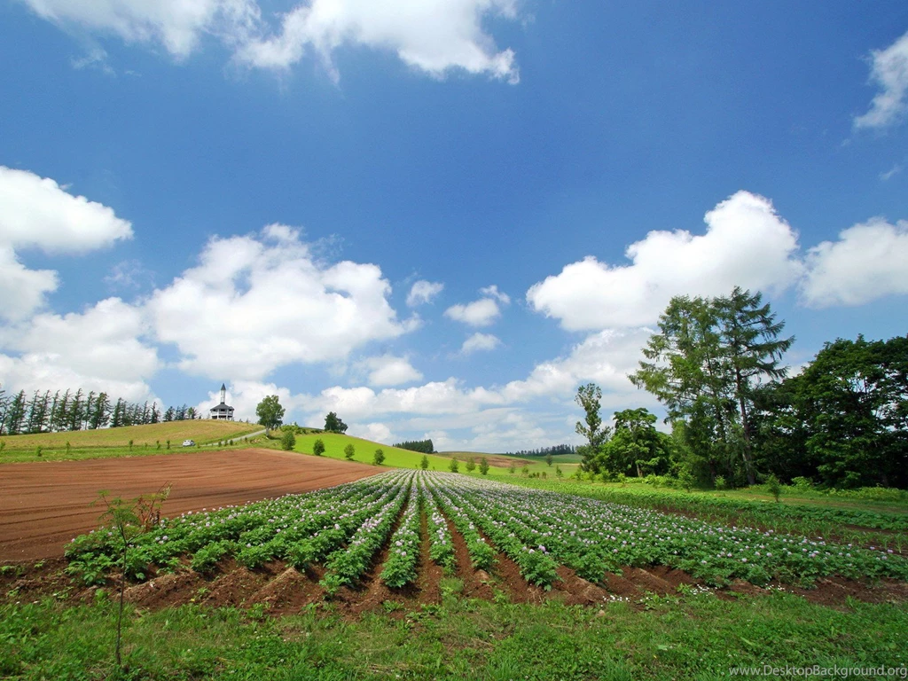 Japan Hokkaido Country Field : Open Field Under Sky 1600x1200 NO.4 ...
