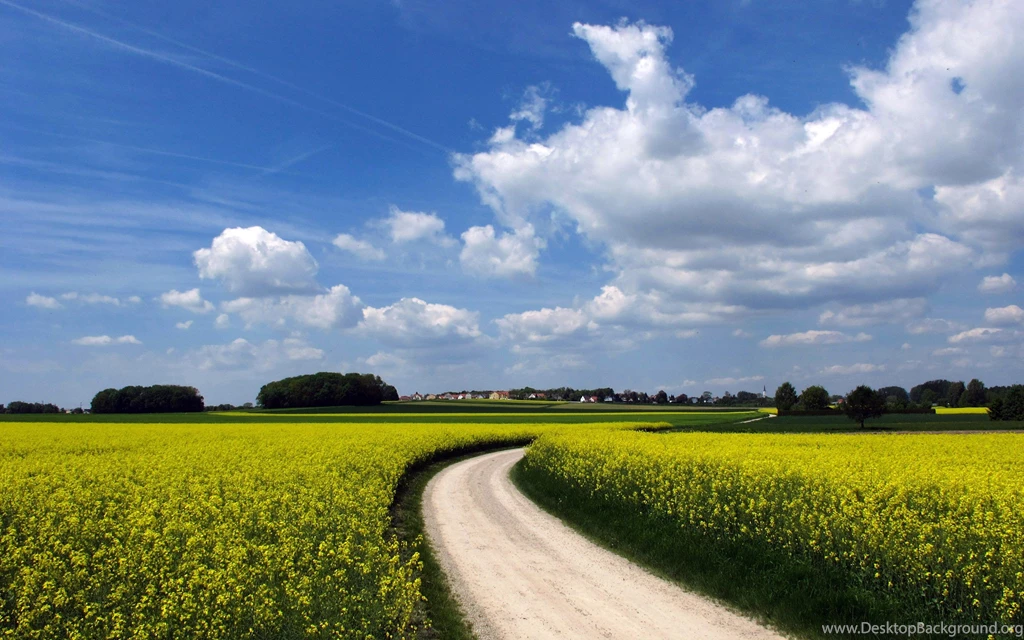 Blue Sky With Green Field Wallpapers
