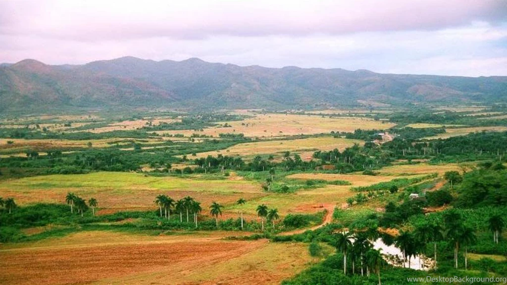 OPEN FIELD IN VINALES WALLPAPER (