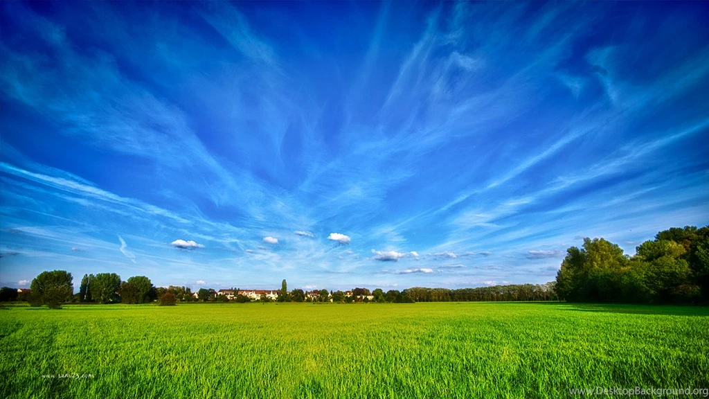 Field & Sky