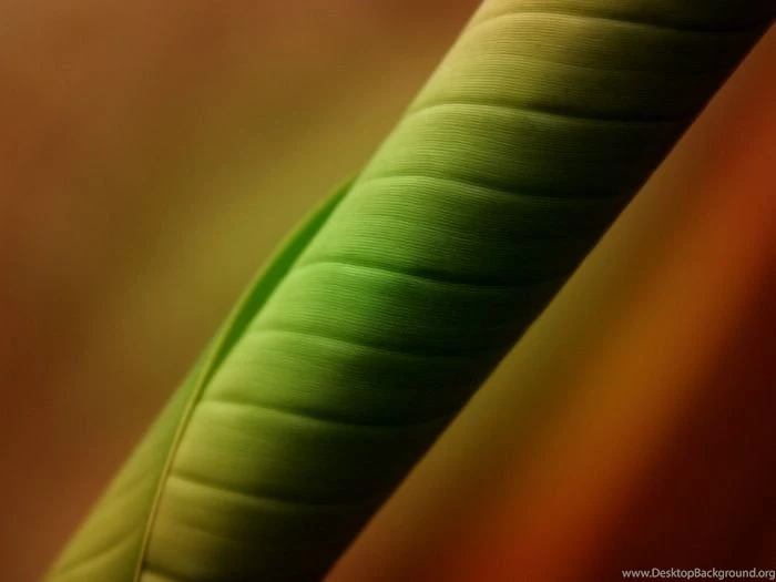 1920*1440 Vista Wallpapers   Windows Vista Desktop12   Wallcoo.net