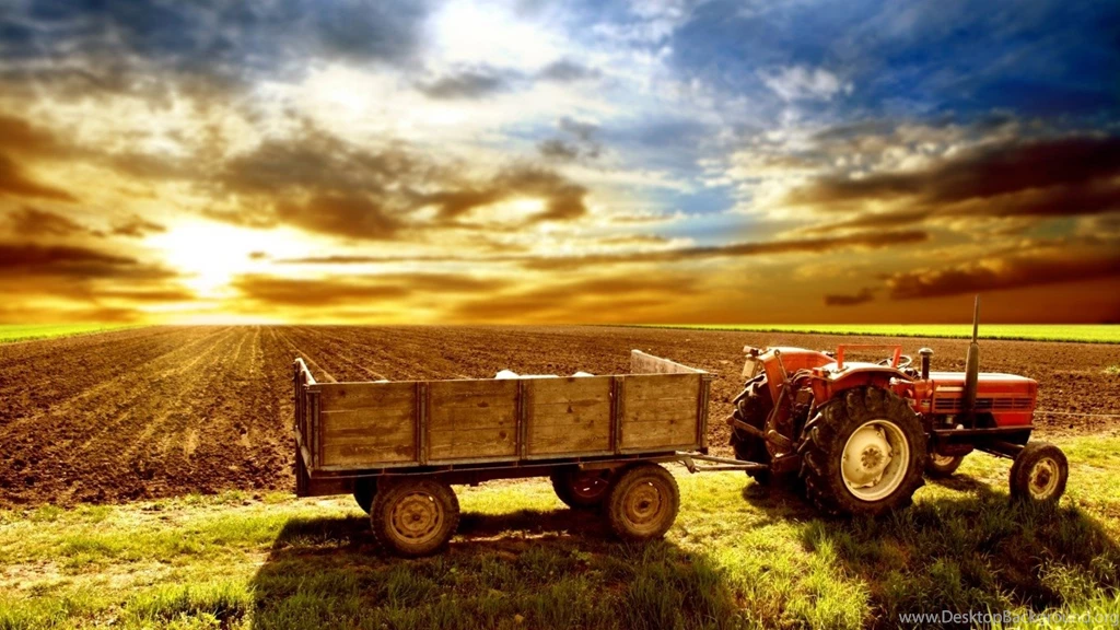 Free Desktop HD Wallpapers   CuteWallpaper.org