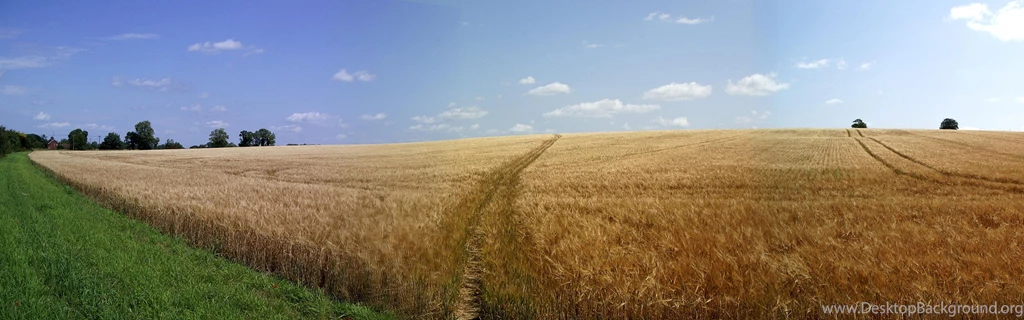 Dual Screen Scenes Of Nature   HD Wallpapers Widescreen   3360x1050