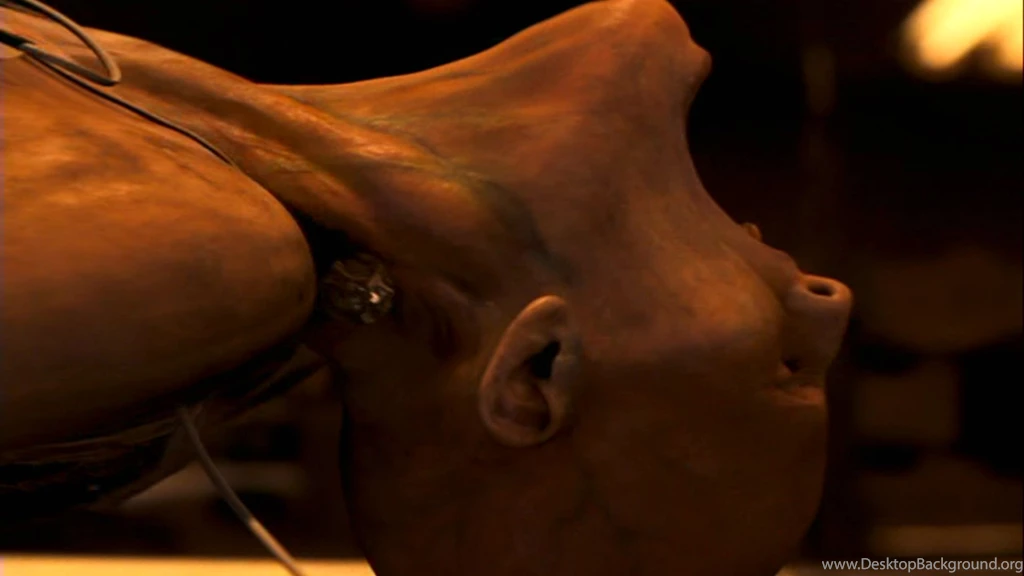 I Am Legend Computer Wallpapers, Desktop Backgrounds
