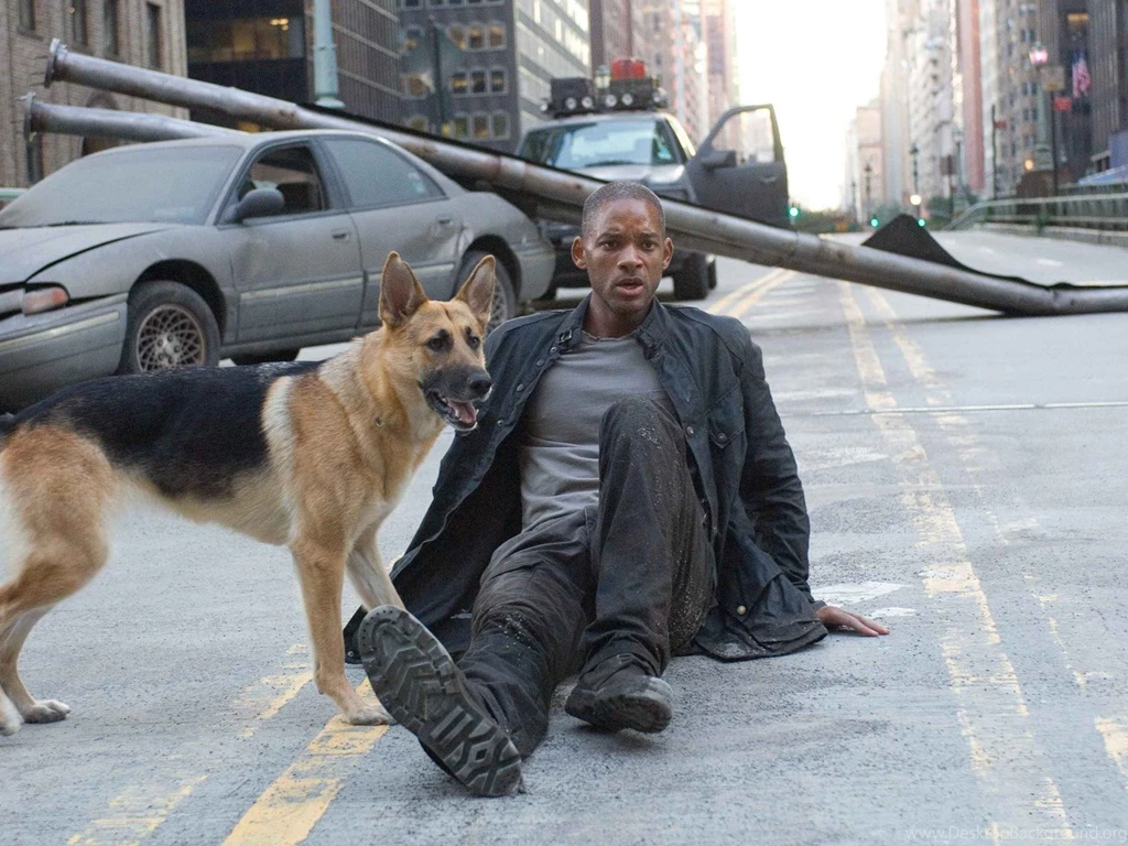 I Am Legend HD Wallpapers