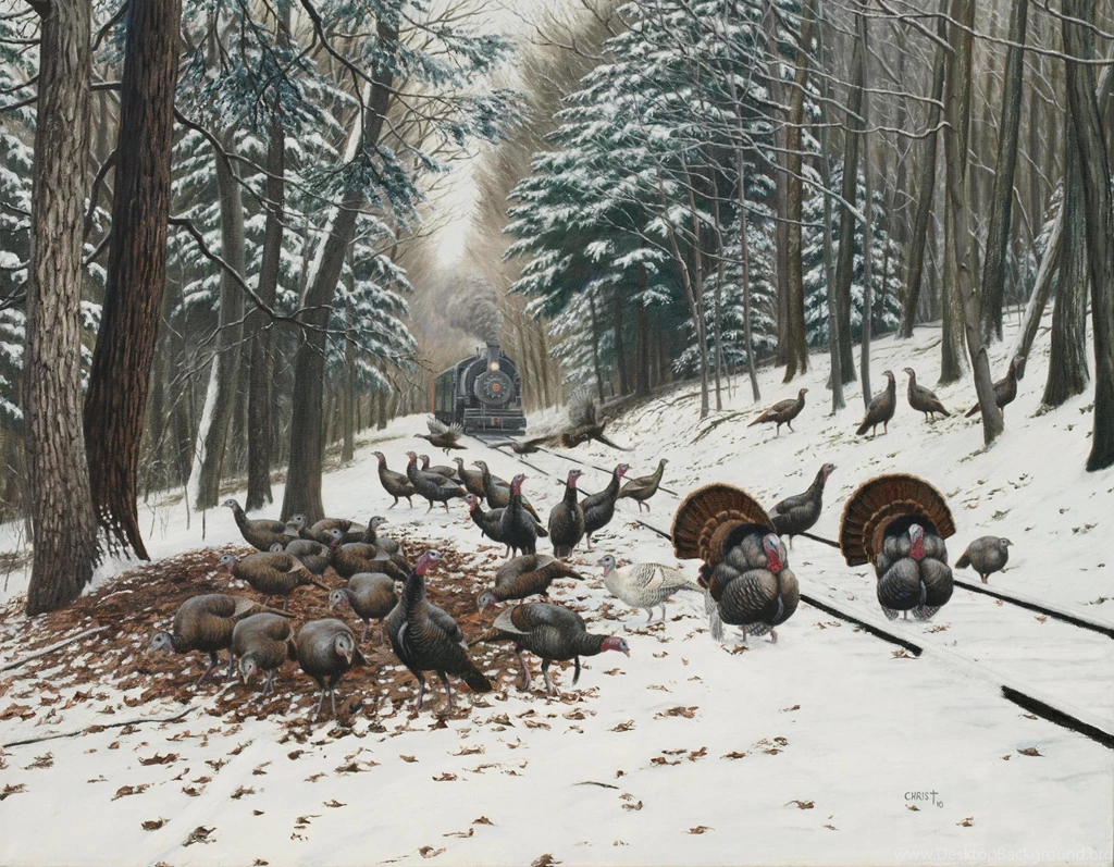 Wild Turkey Tracks (