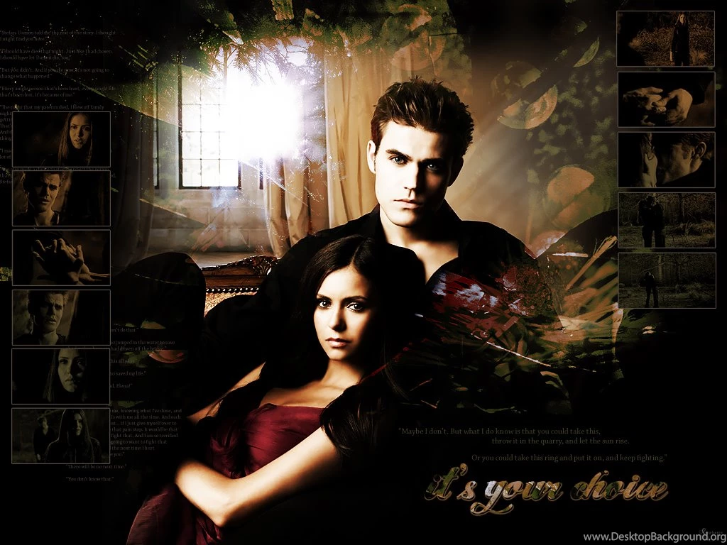 Vampire Diaries Wallpapers: Damon Or Stefan? Novel Novice
