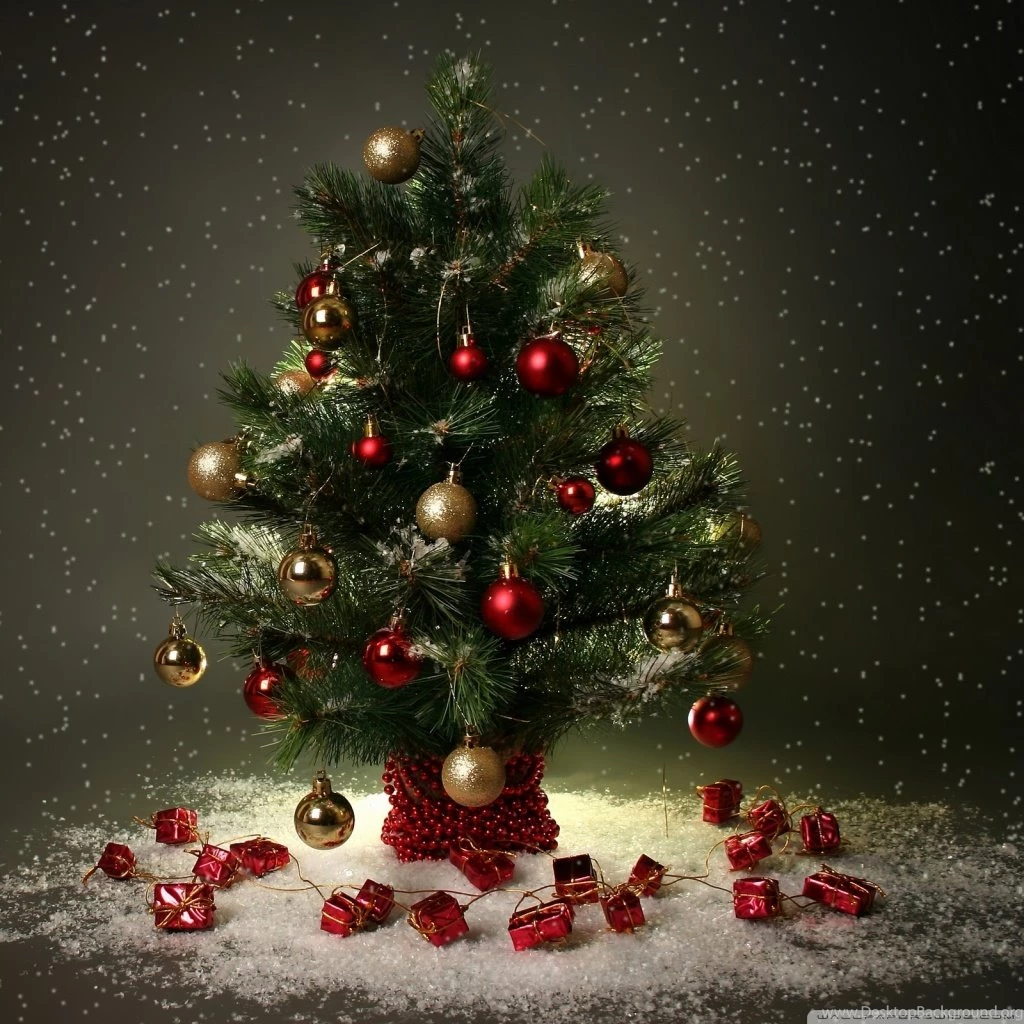 Small Christmas Tree HD Desktop Wallpapers : High Definition ...