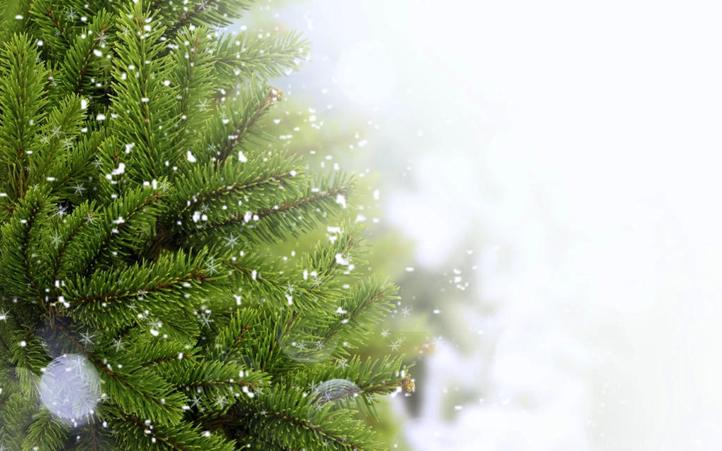 Download Wallpapers 3840x2400 Christmas Tree, Snow, Needles, Thread ...