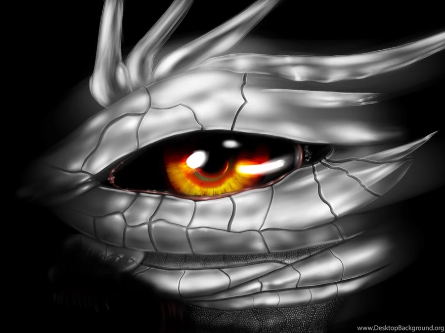 Dragon Eye Silver Scale By Xuruki On DeviantArt