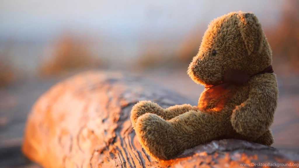 Pictures Of Sad Teddy Bear Lost & Lonely Feeling After Love Break ...