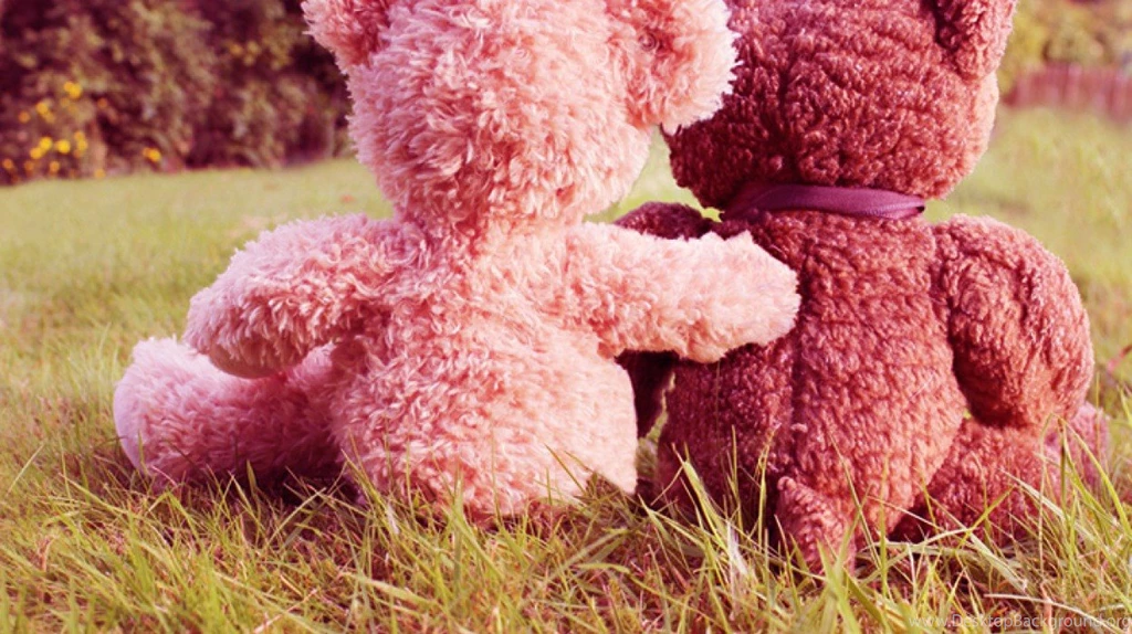 Teddy Bears