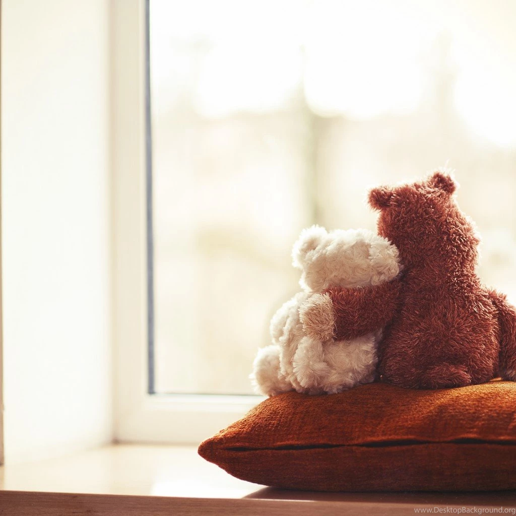 Wallpapers Teddy, Bear, Toy, Cute, Love, Couple, Friends, Window ...