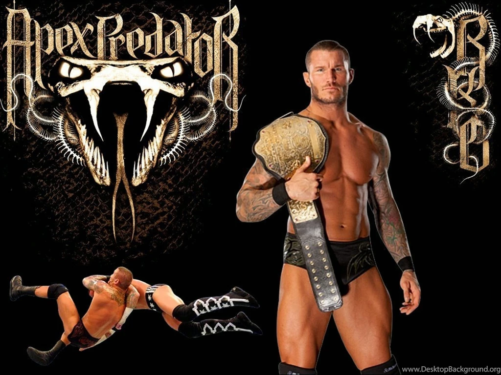Randy Orton Hd Free Wallpapers
