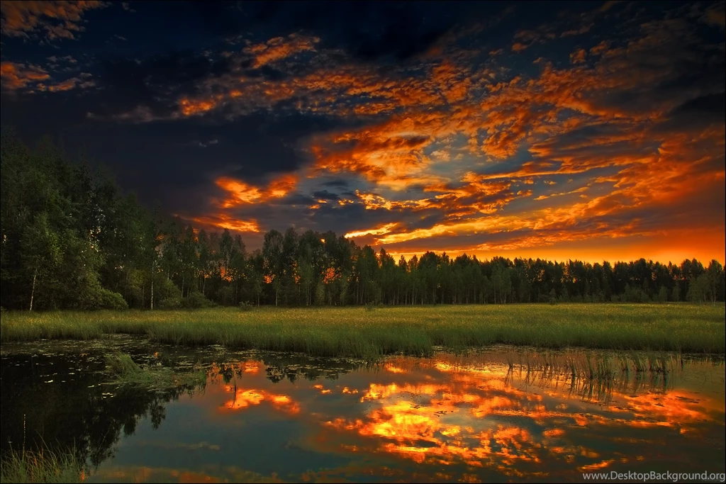 Scenic Pictures Collection (38+)