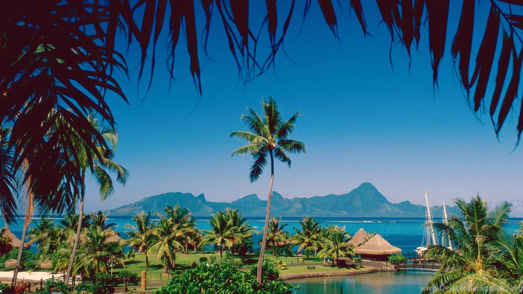 Moorea, Backgrounds, Desktop, Tahiti, Island (