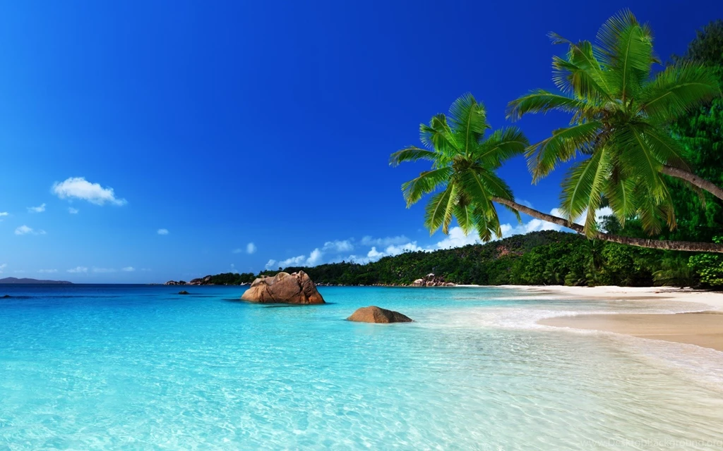 Tropical Island Computer Wallpapers Desktop Backgrounds 1920x1200 ...
