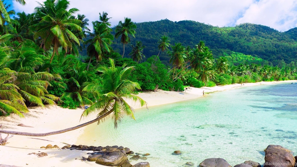 Beach Palm Trees Resort Island Full HD Desktop Wallpapers Large ...