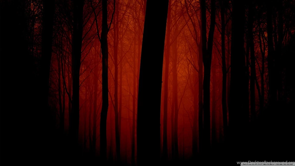 Download Bloody Rabbit Wallpapers 1024x768