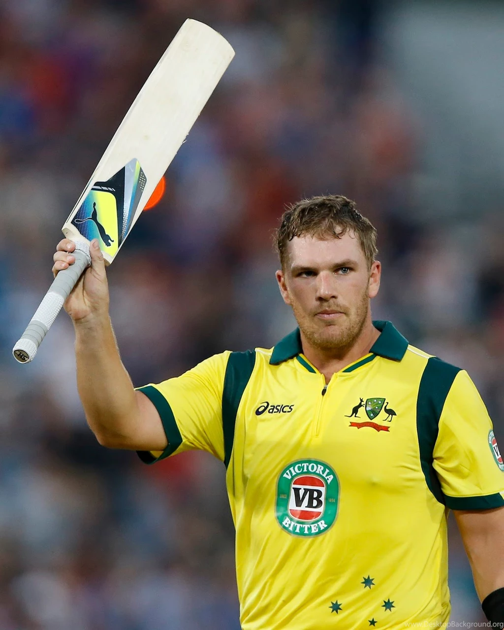 Aaron Finch Wallpapers