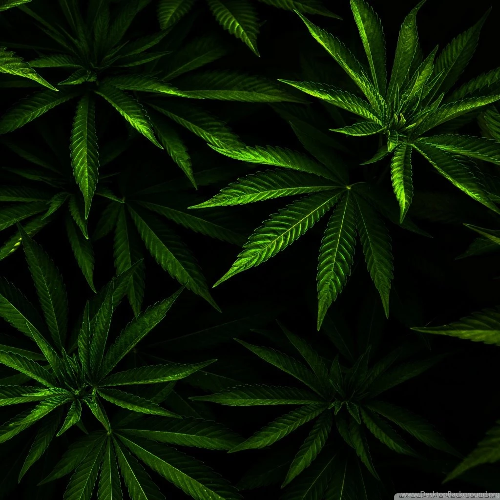 Weed HD Desktop Wallpapers : Widescreen : High Definition ...