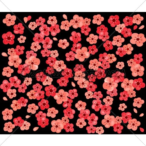 Cherry Blossom Backgrounds · GL Stock Images