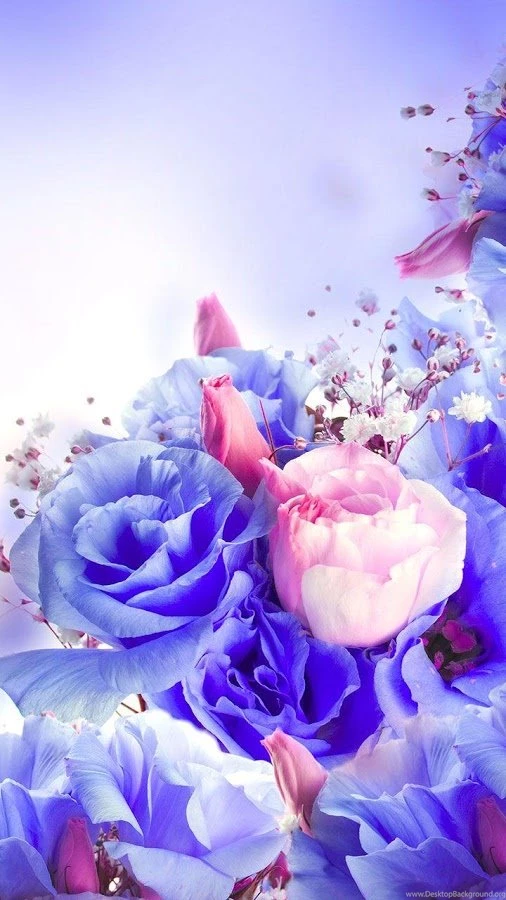 Flowers Live Wallpapers Android Apps On Google Play