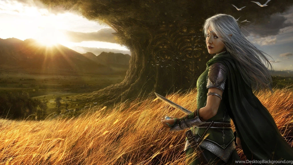 Warrior Wallpapers — Free Full HD Wallpaper. Widescreen HQ Desktop ...