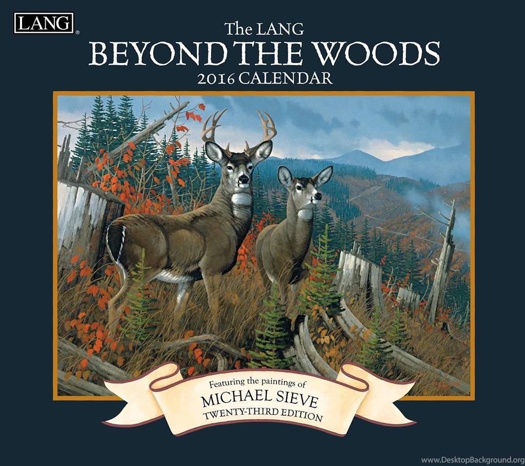 Amazon.com : Lang Beyond The Woods 2016 Wall Calendar By Michael ...