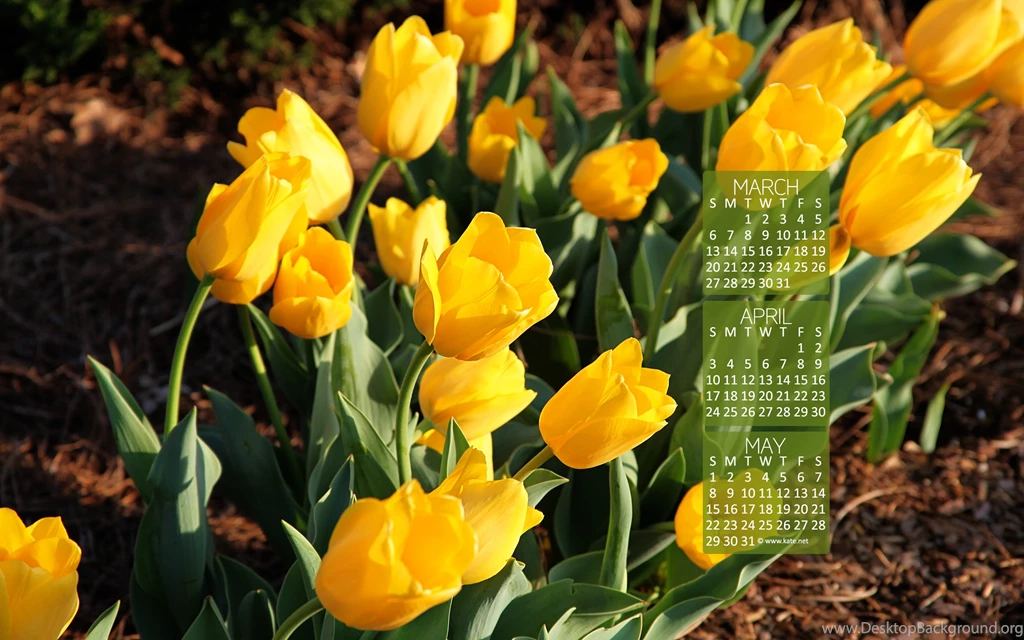 Calendar Wallpapers, Desktop Wallpapers By Kate.net