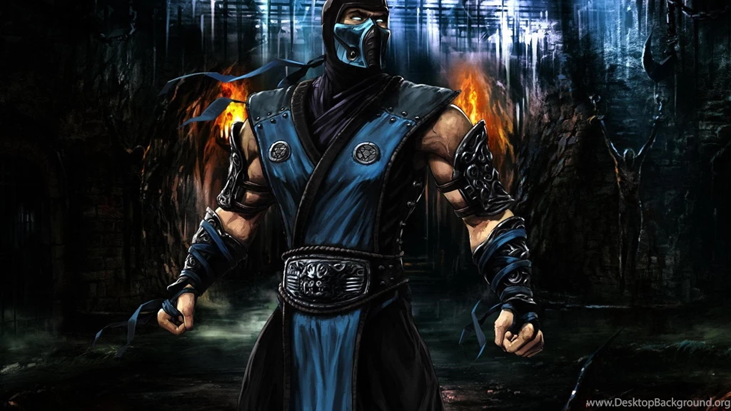 Wallpapers Mortal Kombat Nature Full Hd Sub Zero In Fighting Pose ...