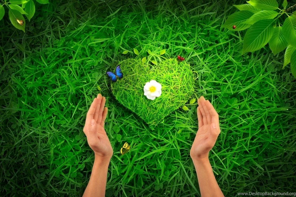 Download High Quality Desktop Wallpapers Free Download