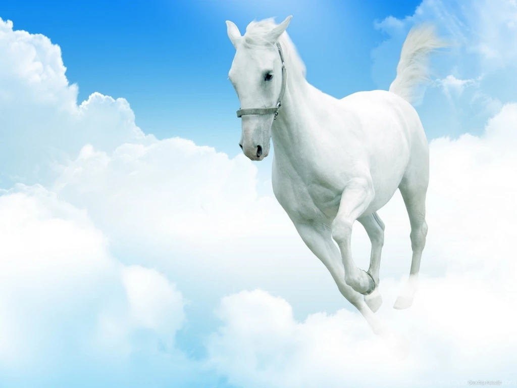 Horse Computer Wallpapers, Desktop Backgrounds