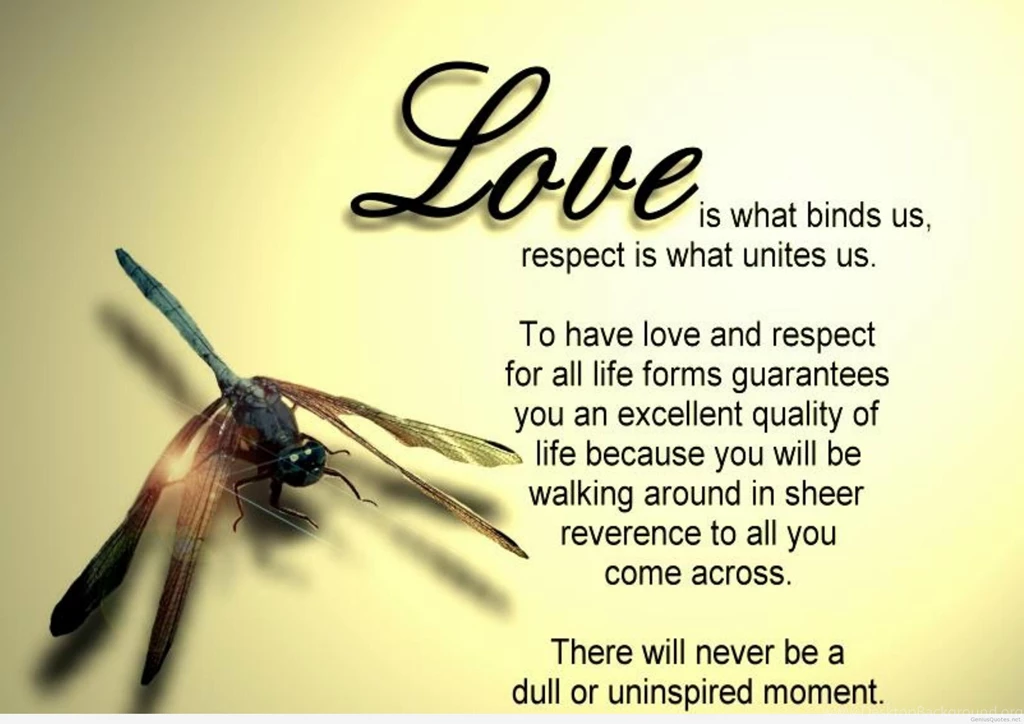 Love Qoutes Wallpapers Wallpapers Cave