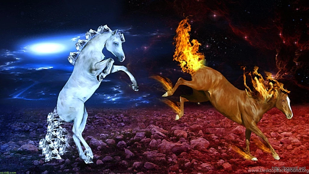 Horse Ice And Fire Cool Image Wallpapers