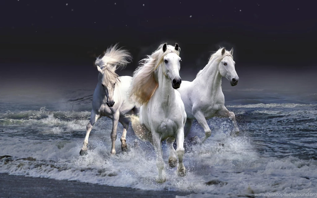 Horse Wallpapers Pics 16160 HD Wallpapers Site