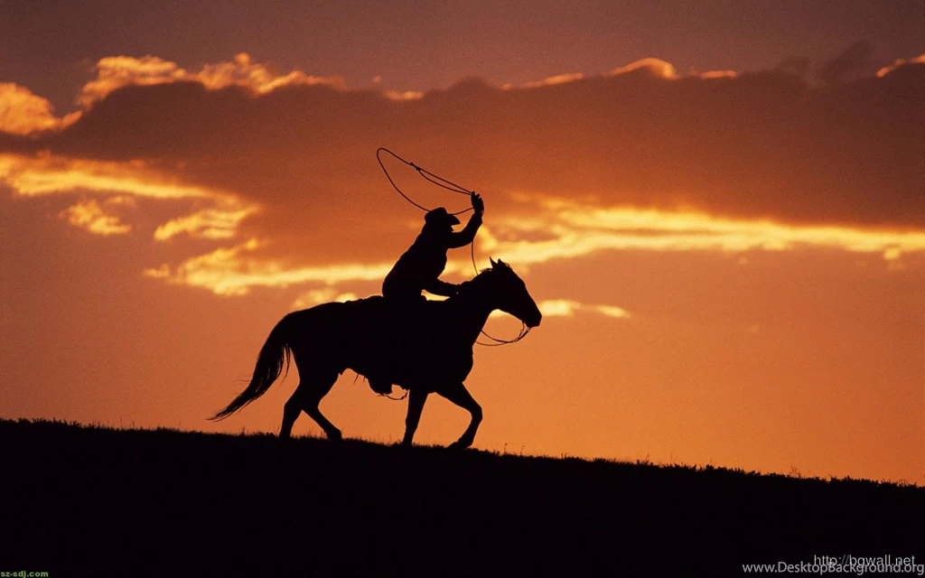 Horse Ice And Fire Cool Image Wallpapers
