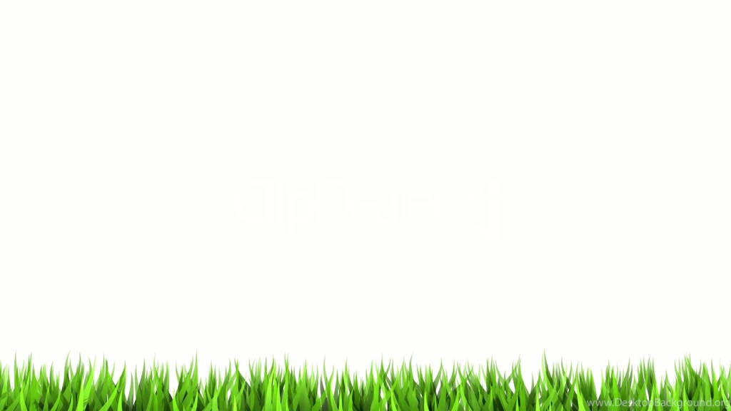 White Backgrounds Image